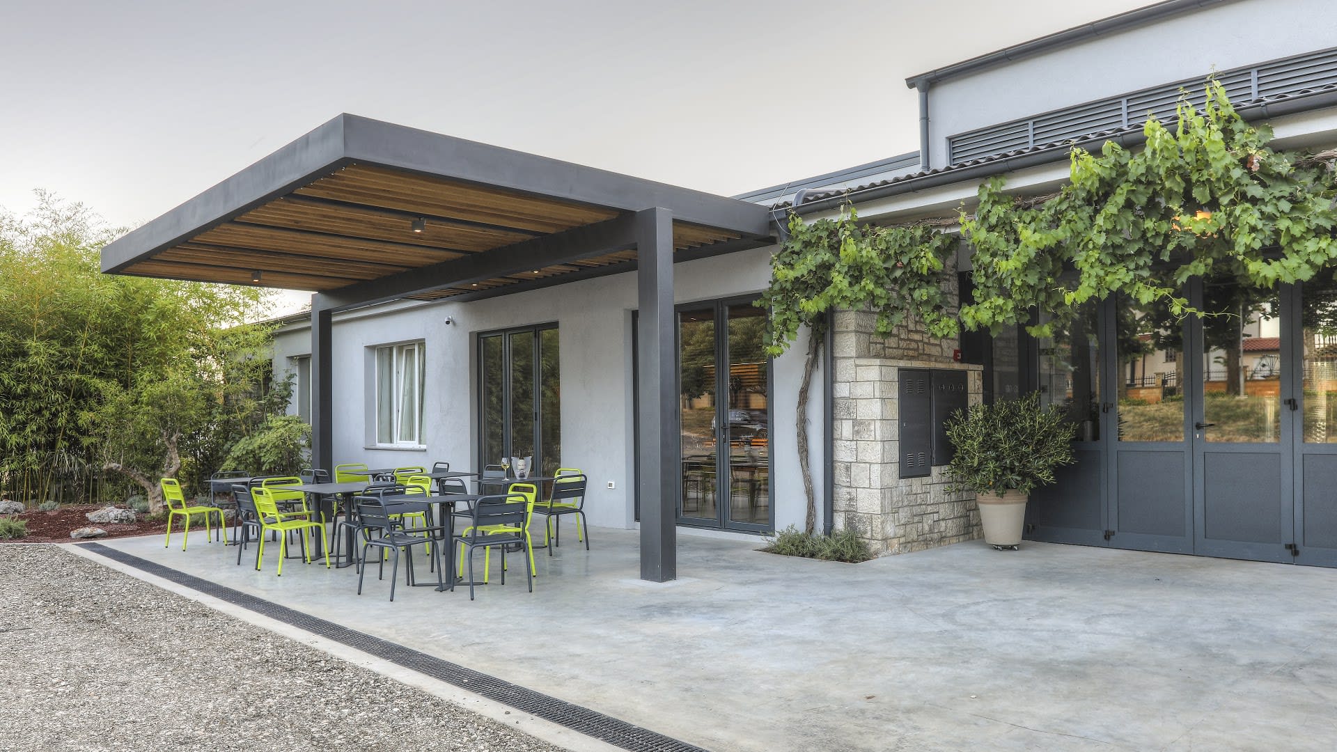 Medea Winery photo 2