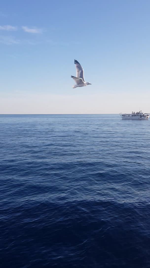 Fissa-Brijuni photo 1