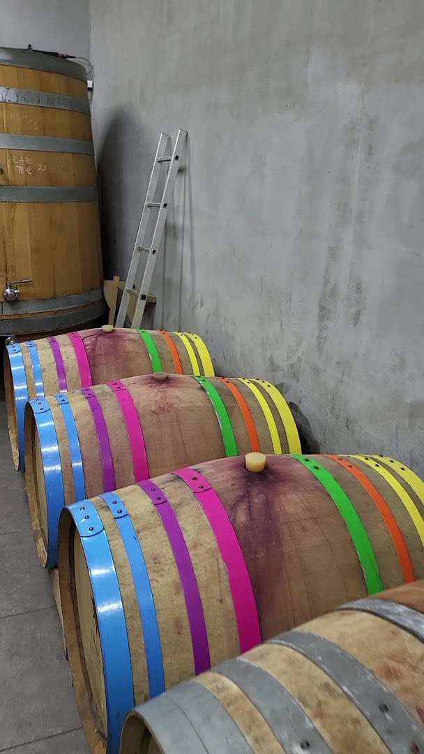 Trapan Winery photo 1