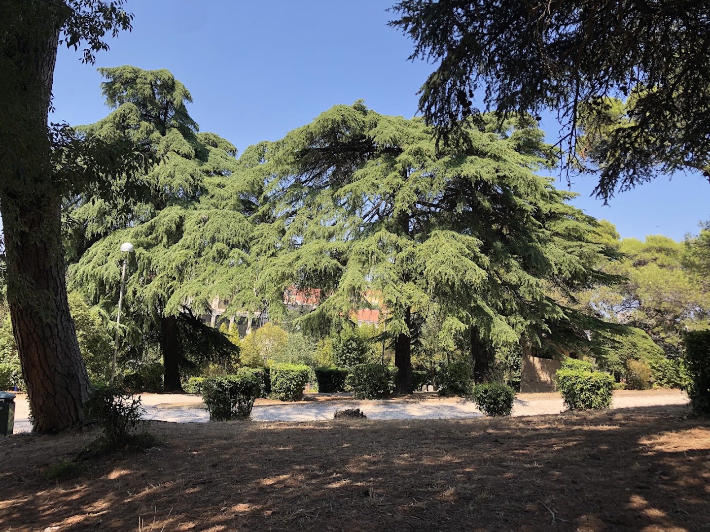 Monte Zaro Park photo 2