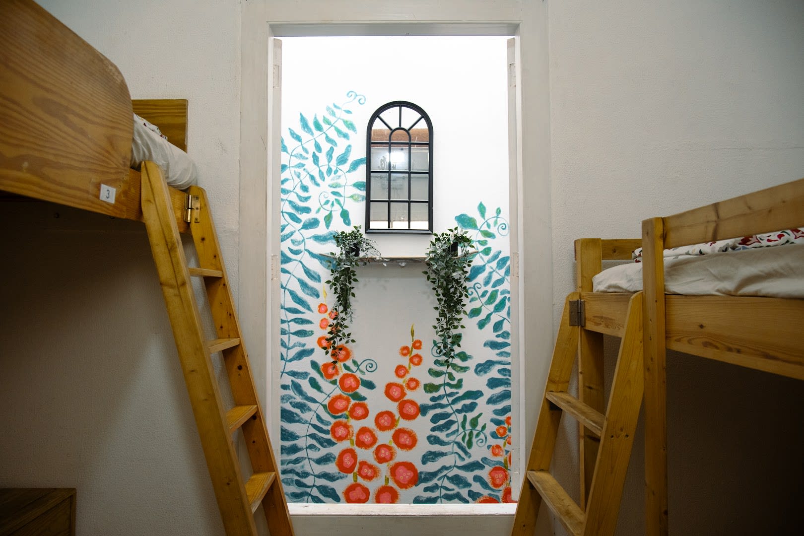 Lua Lua Hostel photo 3