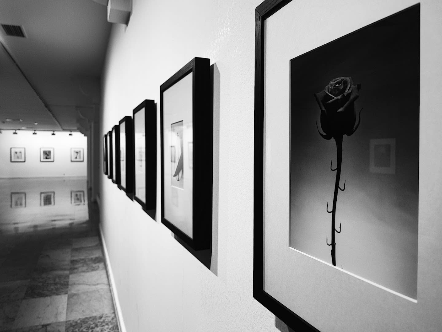 Centro de Arte La Regenta photo 4