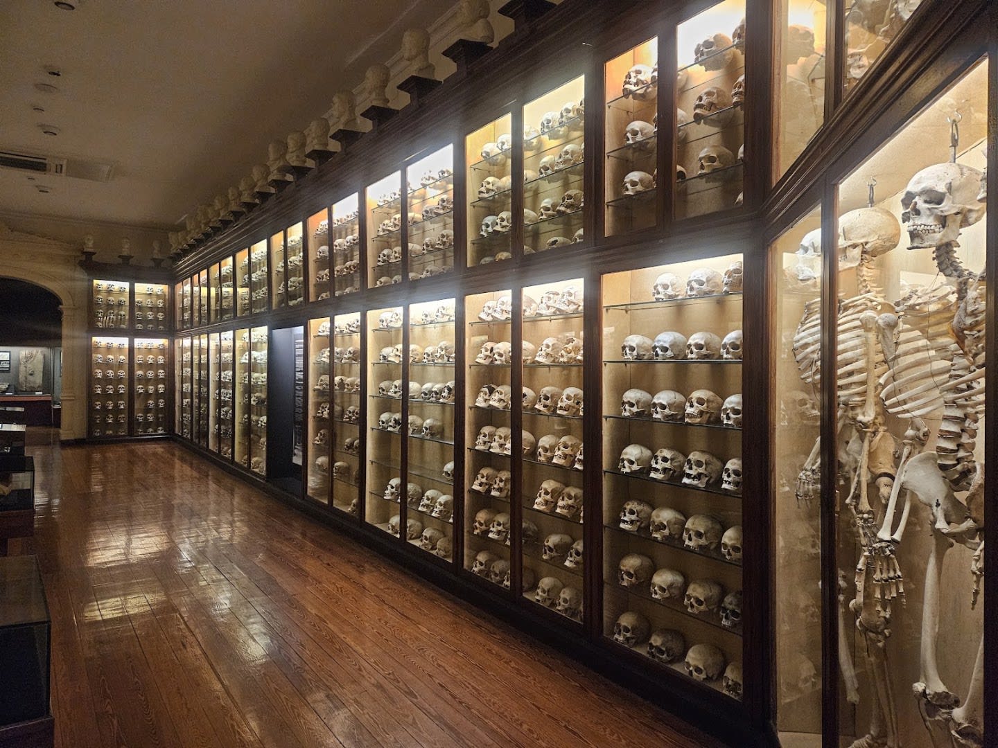 Museo Canario photo 2
