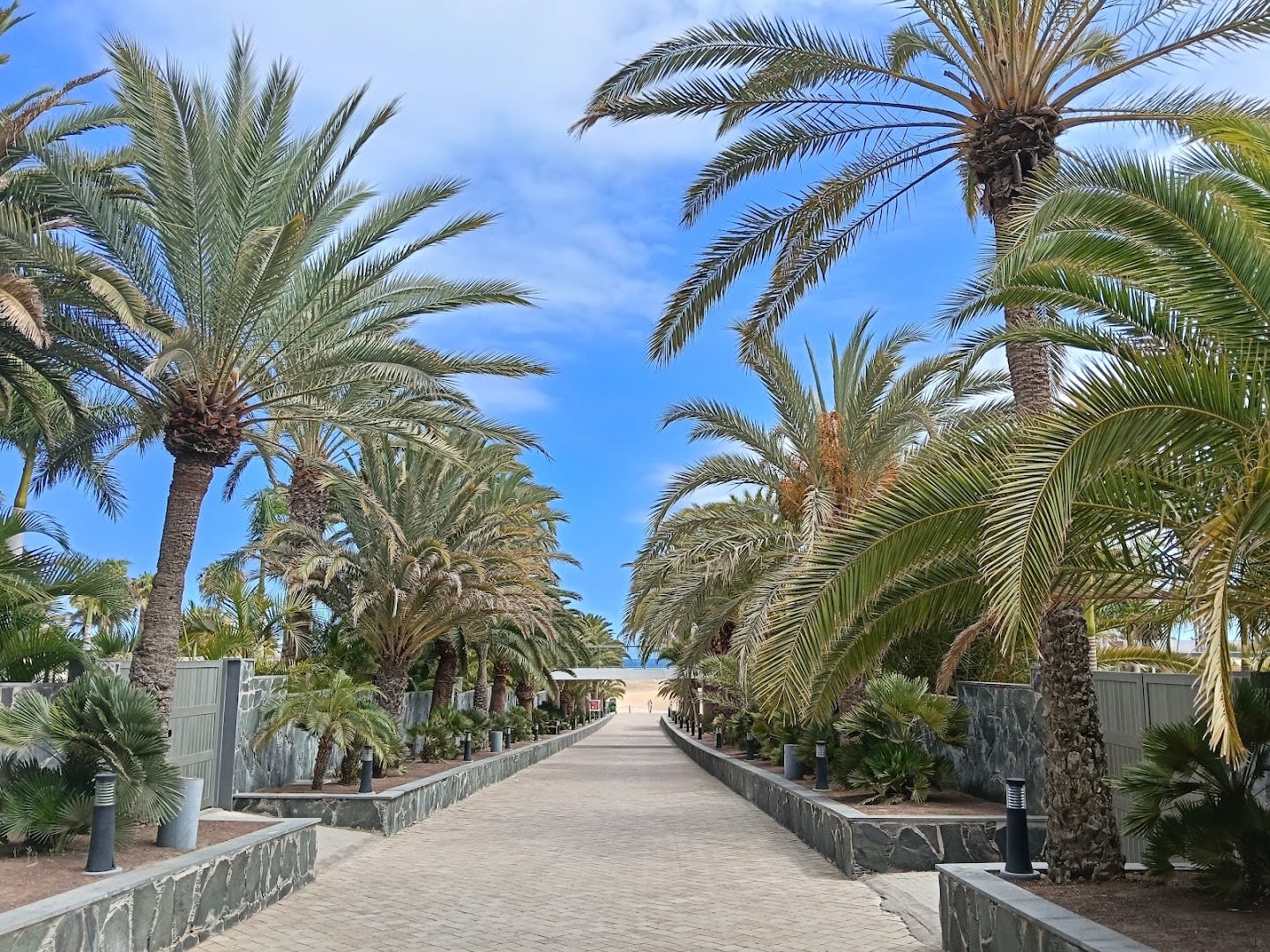 Mirador de las Dunas photo 2