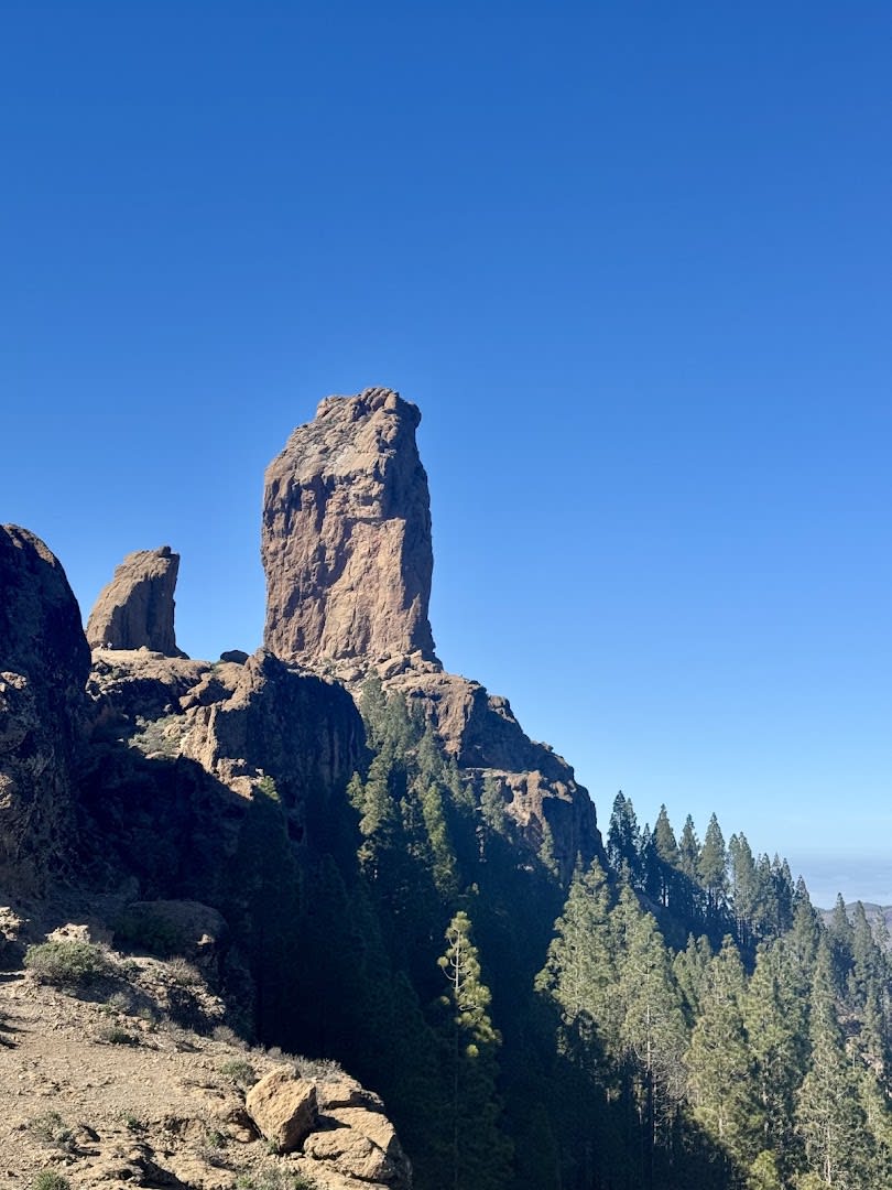 Roque Nublo photo 2