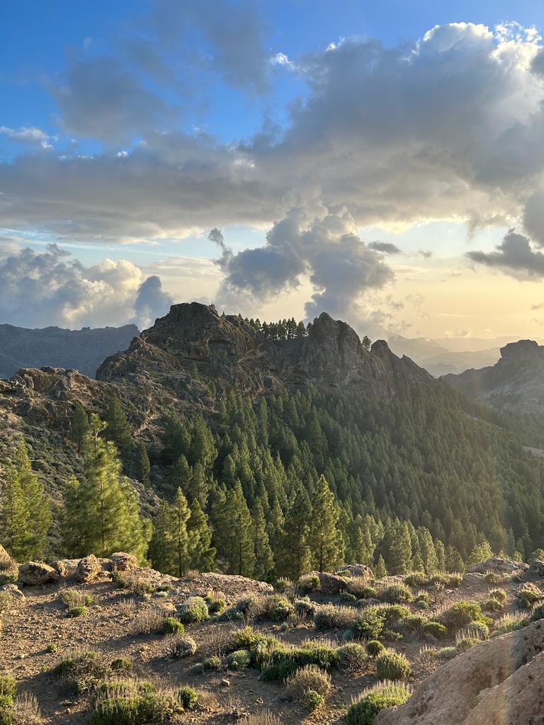 Roque Nublo photo 4