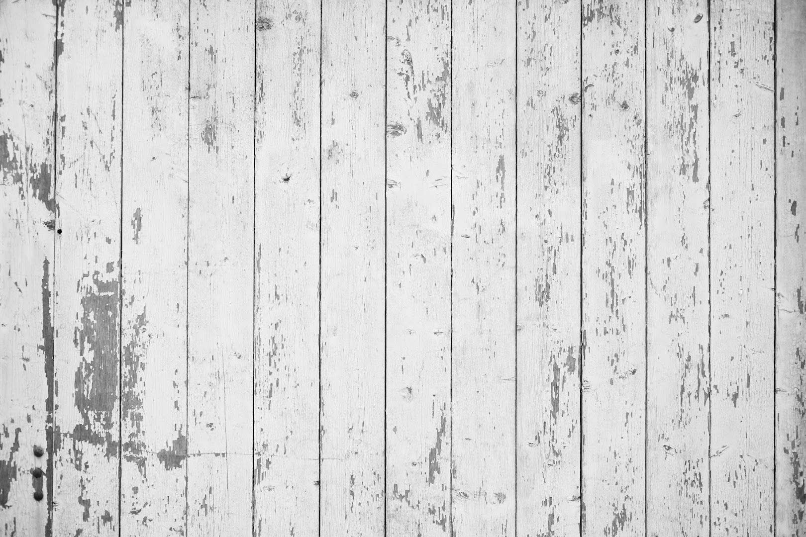 Café Europa photo 3