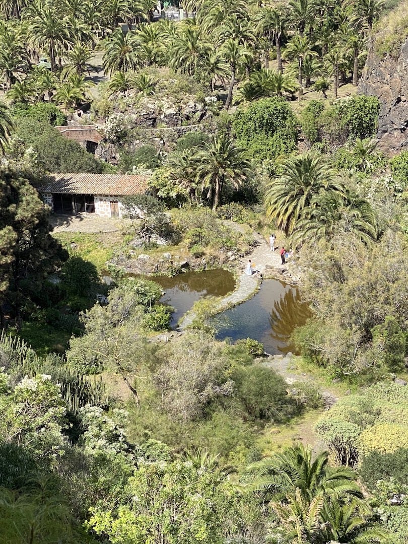 Jardín Botánico Canario Viera y Clavijo photo 3