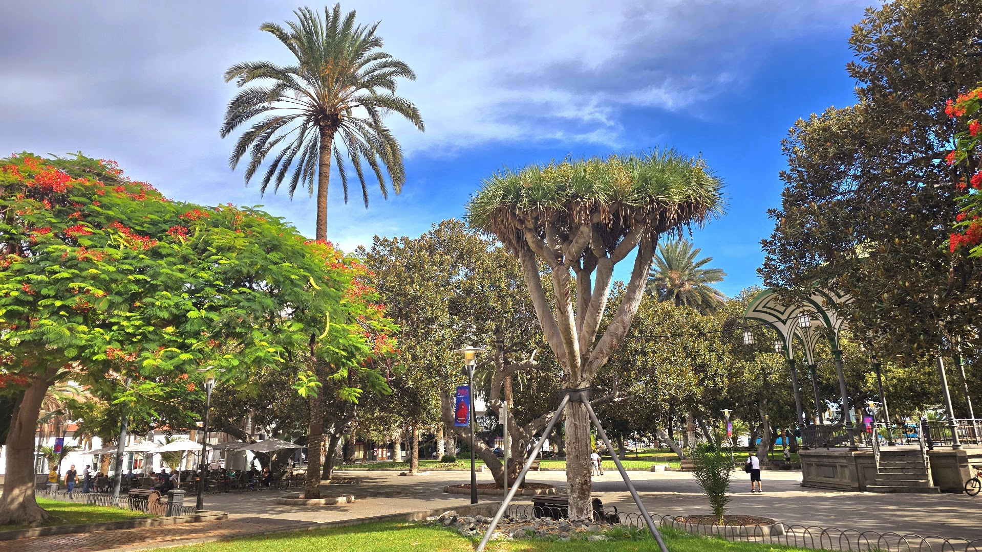 San Telmo Park photo 4