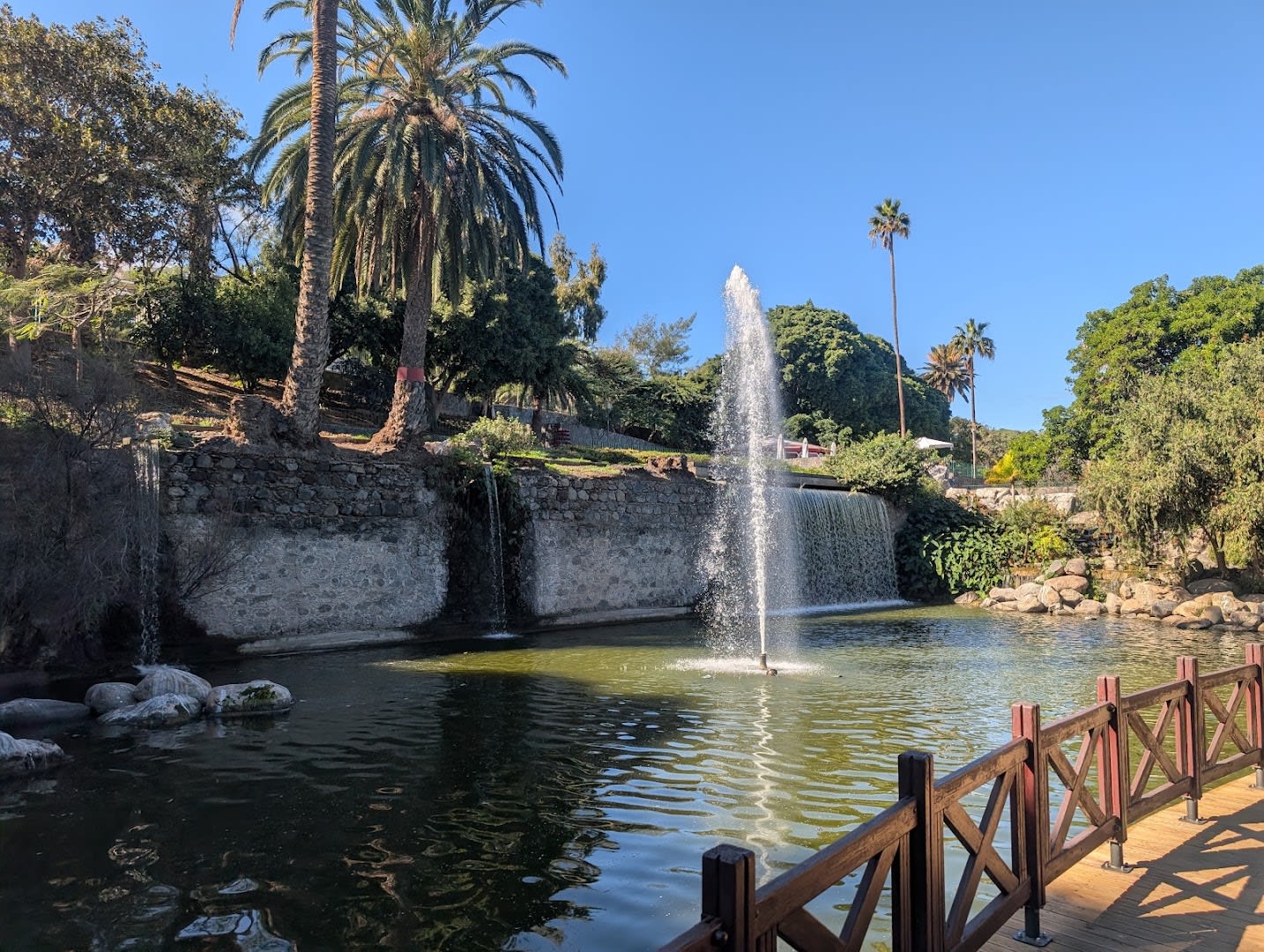 Parque Doramas photo 2