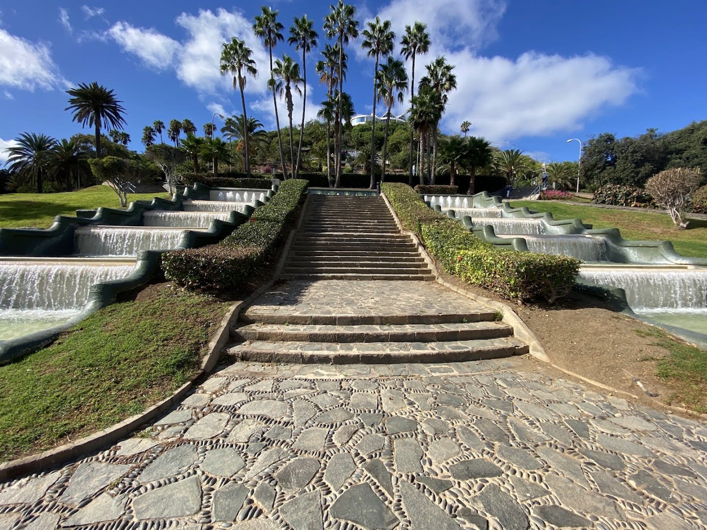 Parque Doramas photo 4