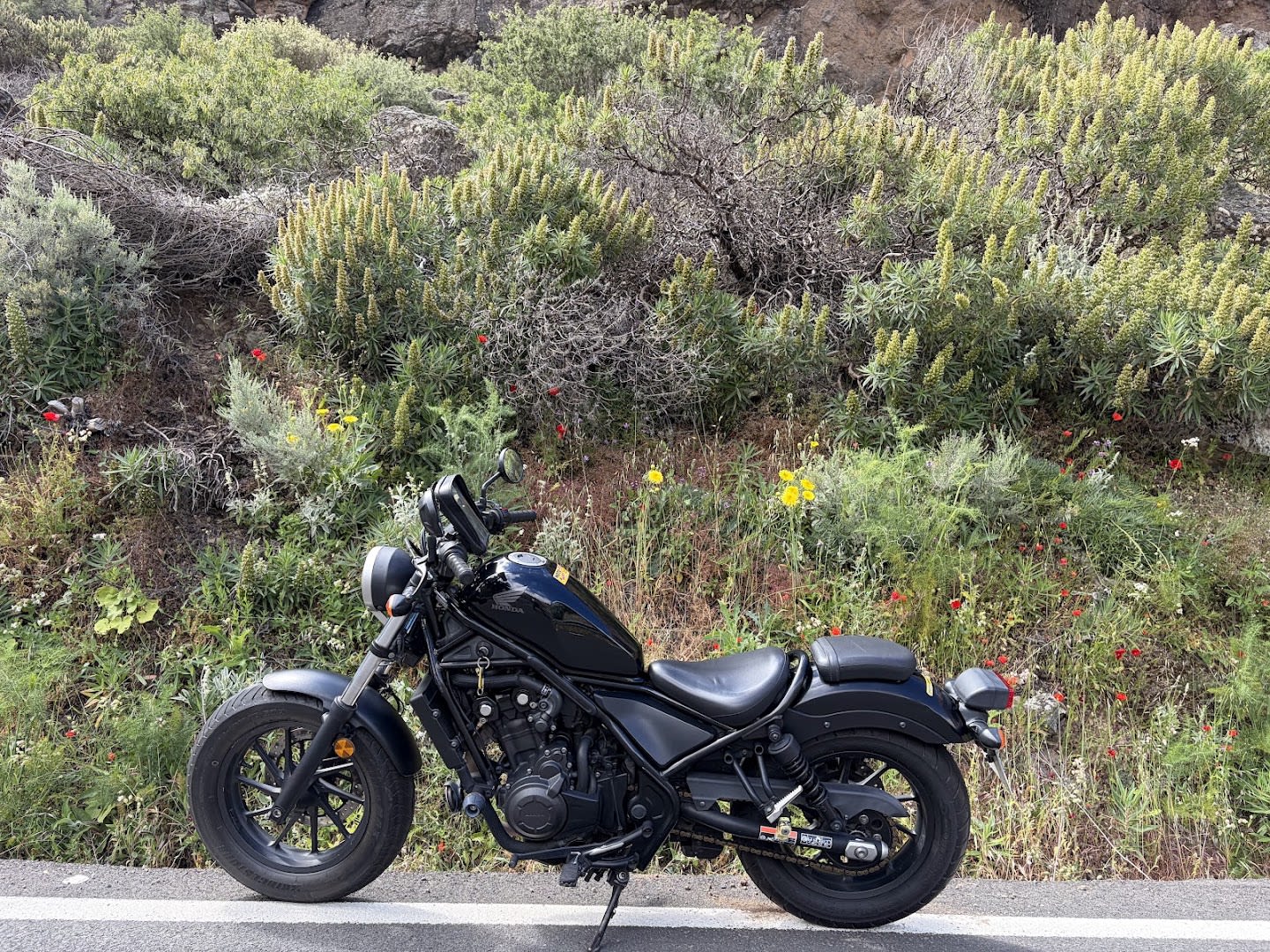 Moto & Bike Rent photo 4