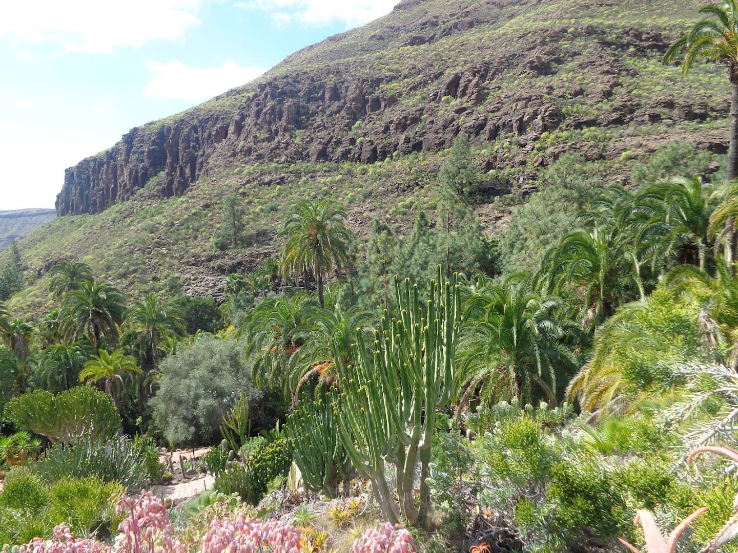 Palmitos Park photo 2