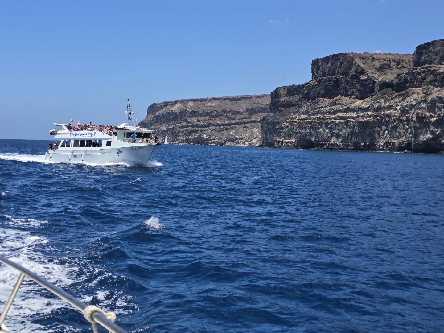 Infinity Boat Tours Gran Canaria photo 2