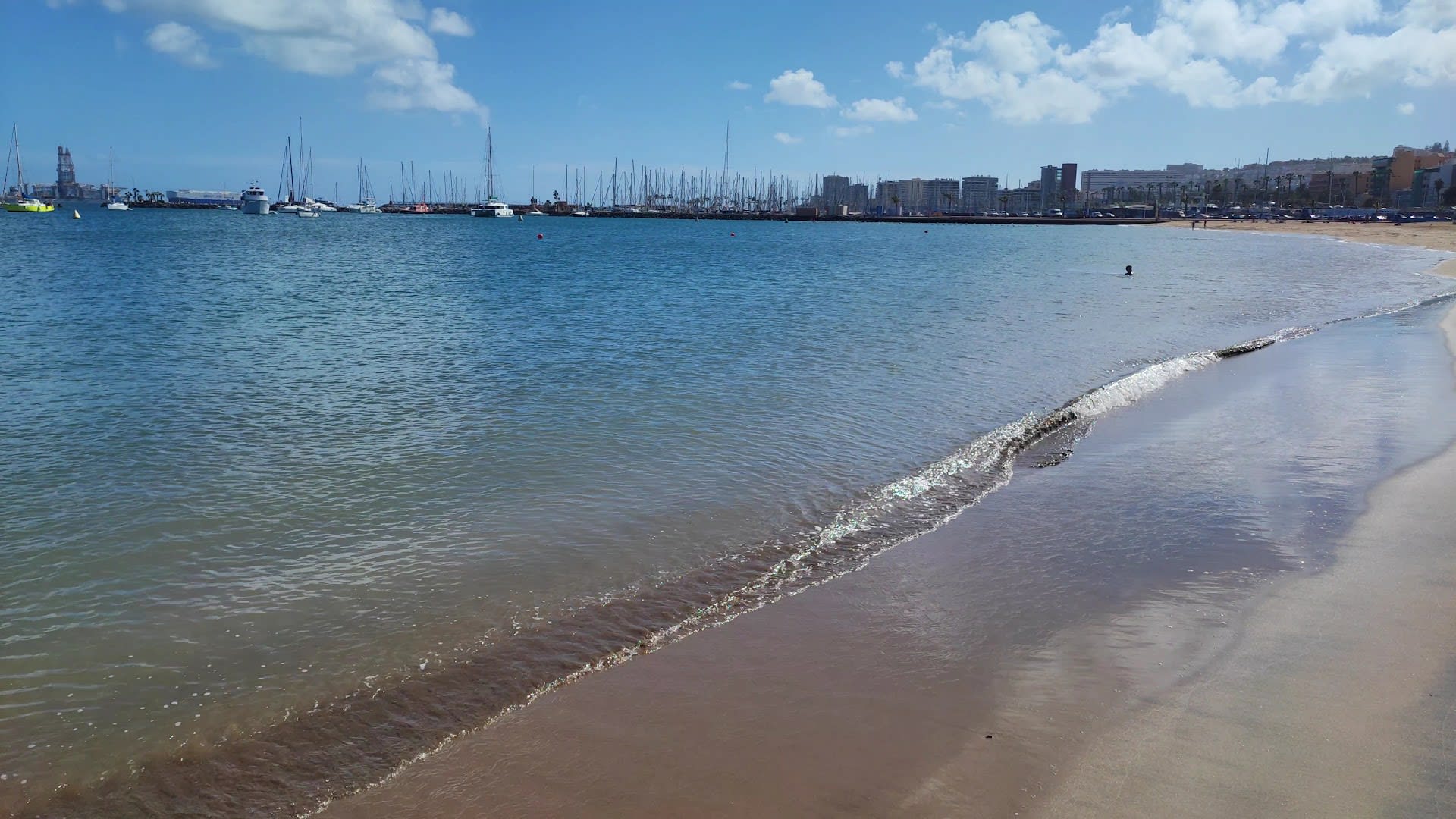 Playa de las Alcaravaneras photo 1