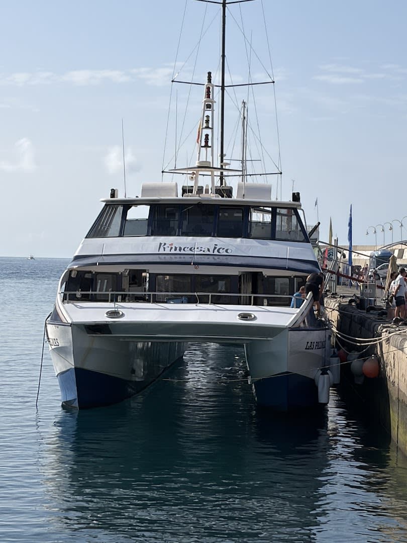 Catamarán Princesa Ico photo 3