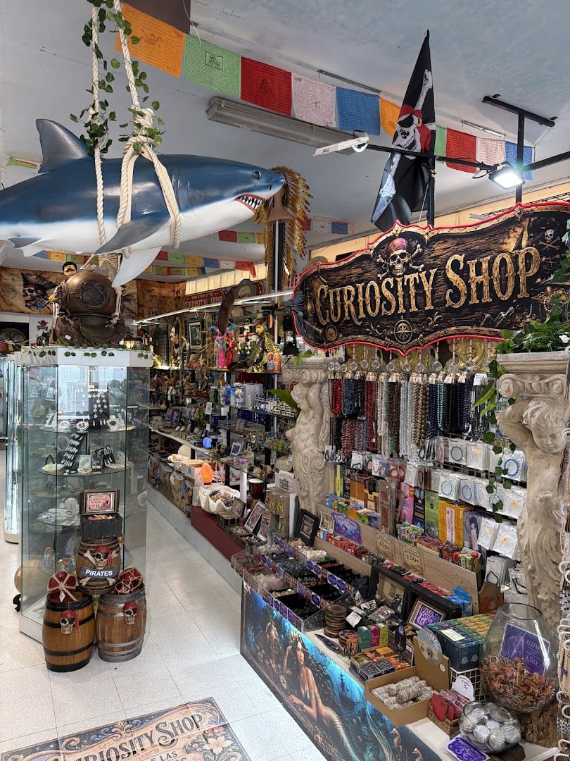 Curiosity Shop photo 2