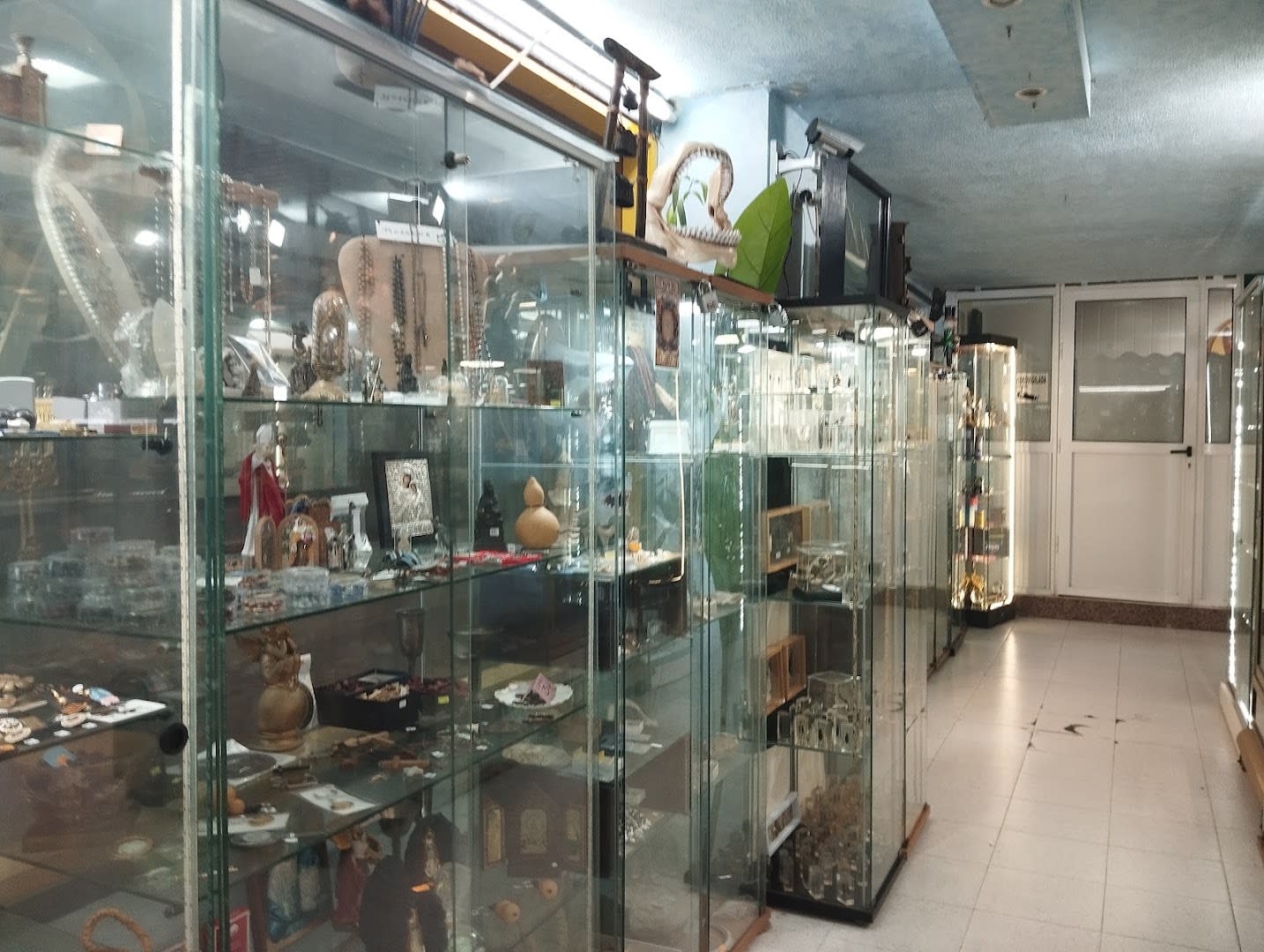 Curiosity Shop photo 4