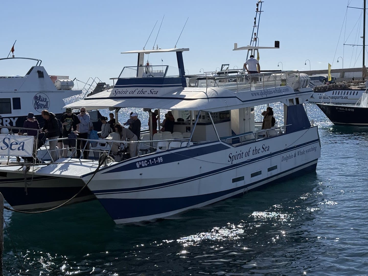 Spirit of the Sea photo 3