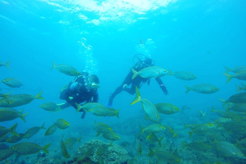 Calypso Dive Center photo 4