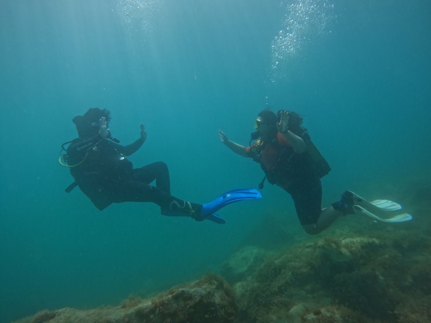 Gran Canaria Divers photo 2