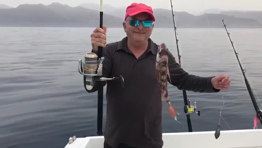 Dorado Sport Fishing photo 1