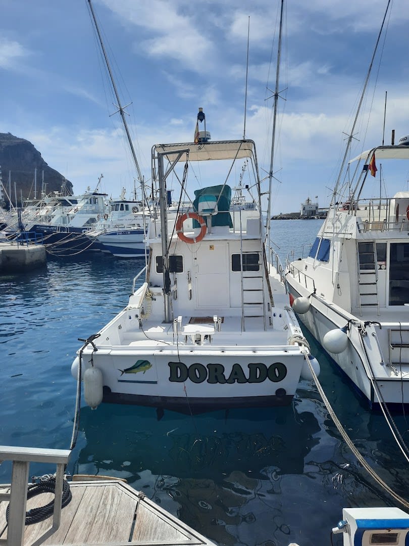 Dorado Sport Fishing photo 2