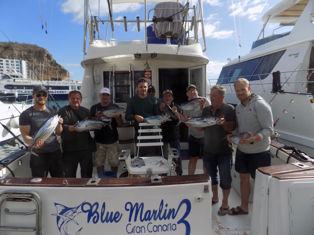 Blue Marlin 3 Gran Canaria photo 3
