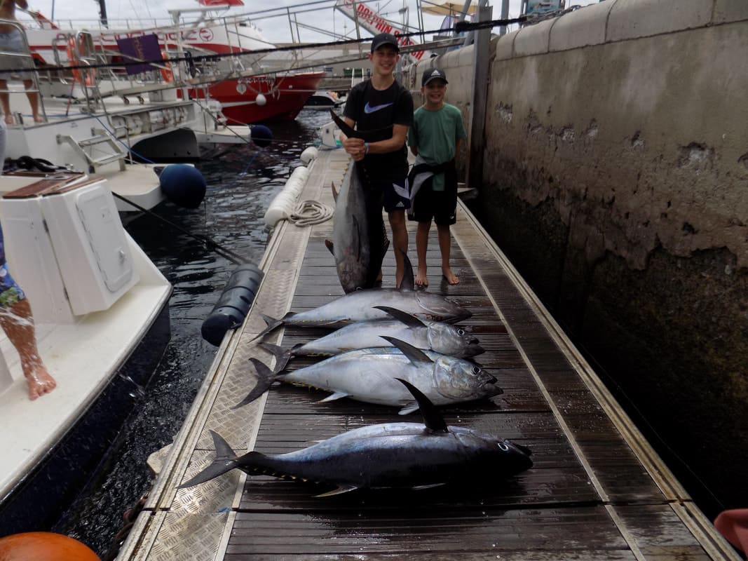 Blue Marlin 3 Gran Canaria photo 4