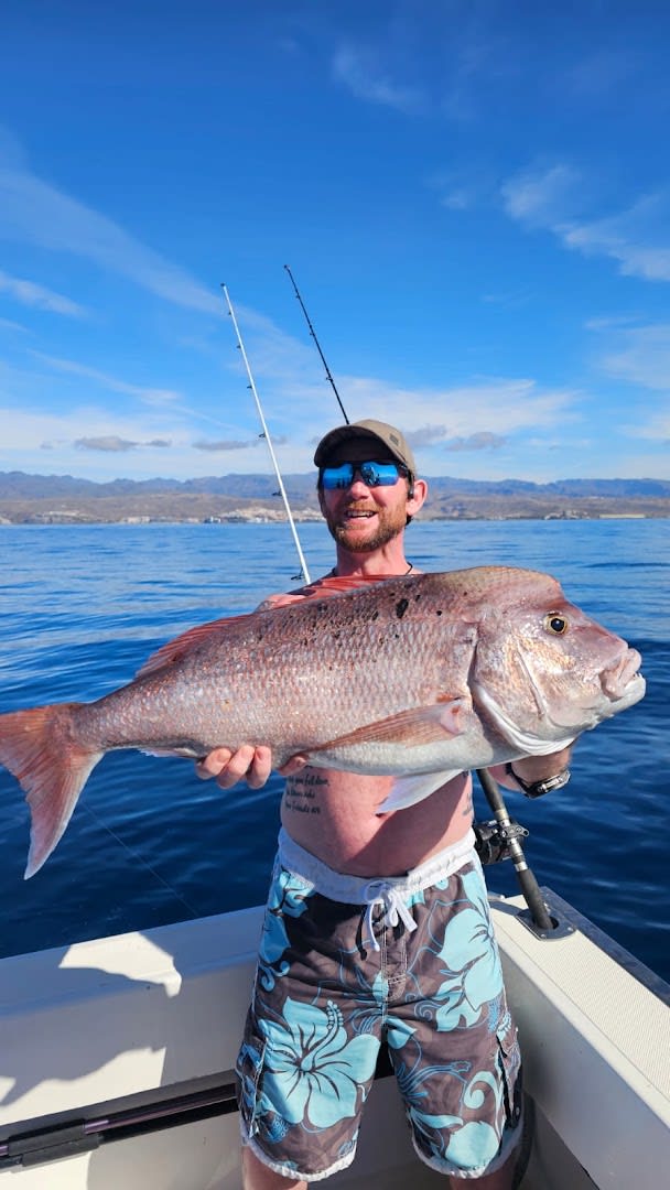 Cavalier Sport Fishing Gran Canaria photo 2