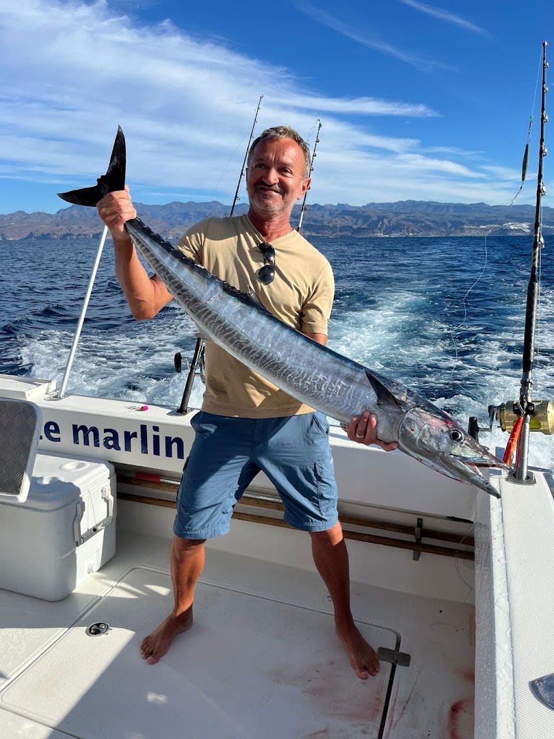 White Marlin photo 2