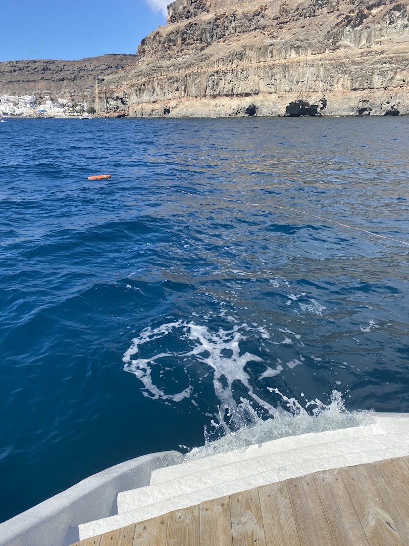 Discover Gran Canaria Excursion Center photo 3