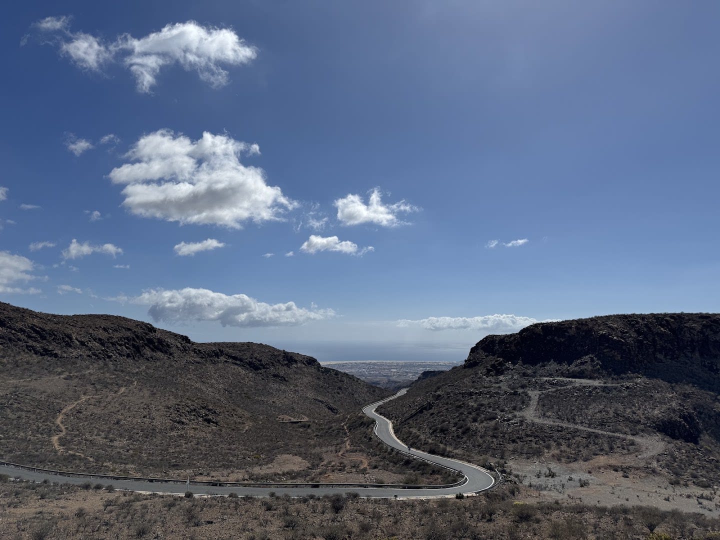 OkGranCanaria photo 4