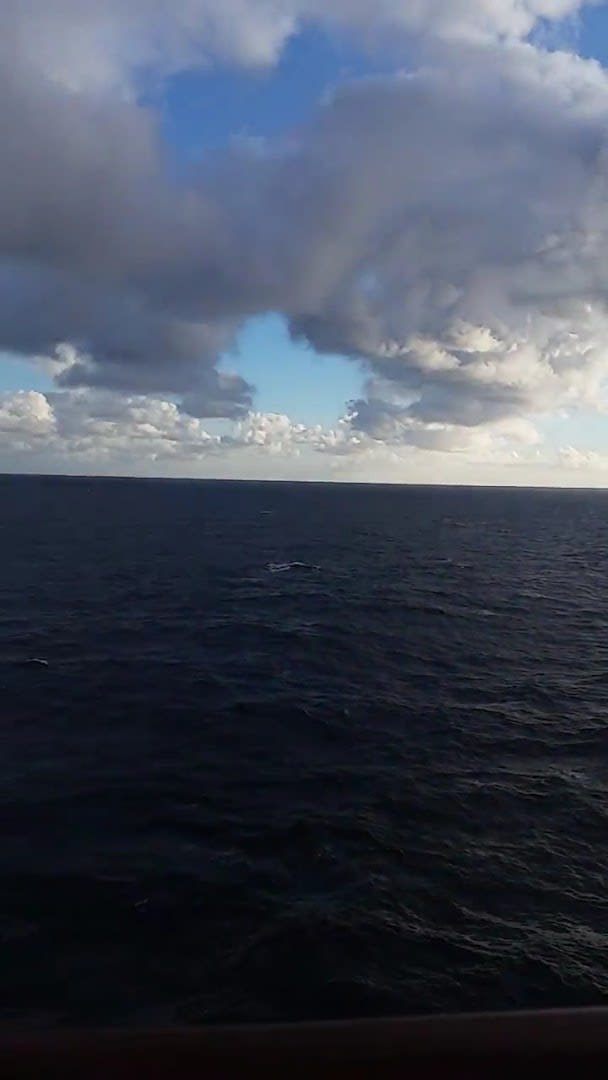 Naviera Armas Trasmediterránea photo 1