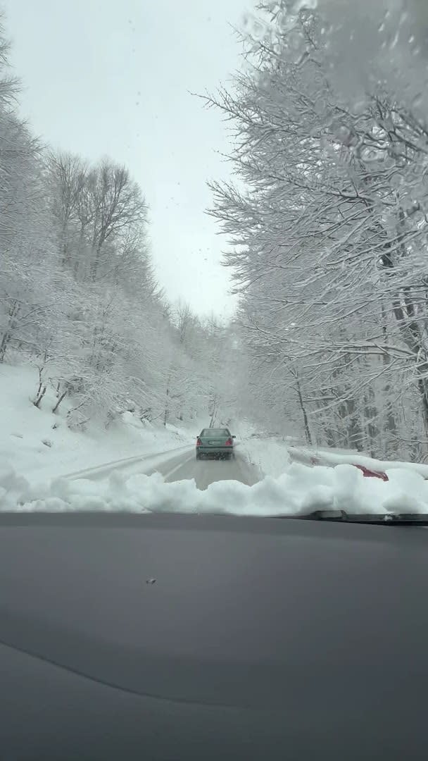 Nexhipi Car Rental photo 1
