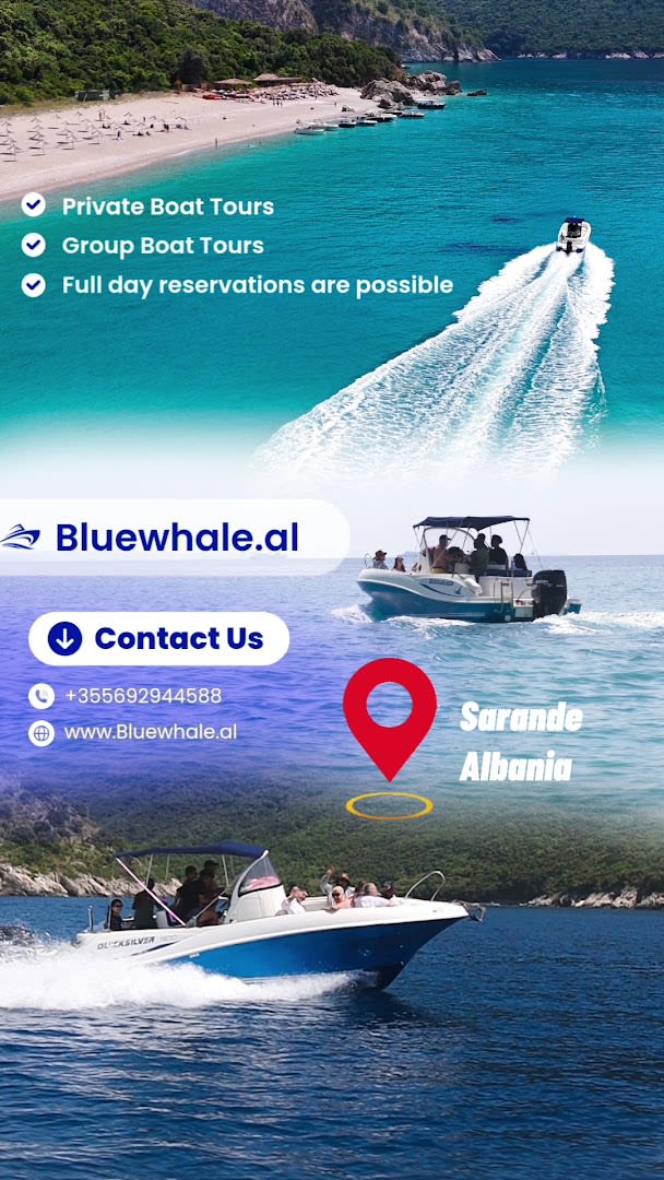 Blue Whale Boat Trips photo 1