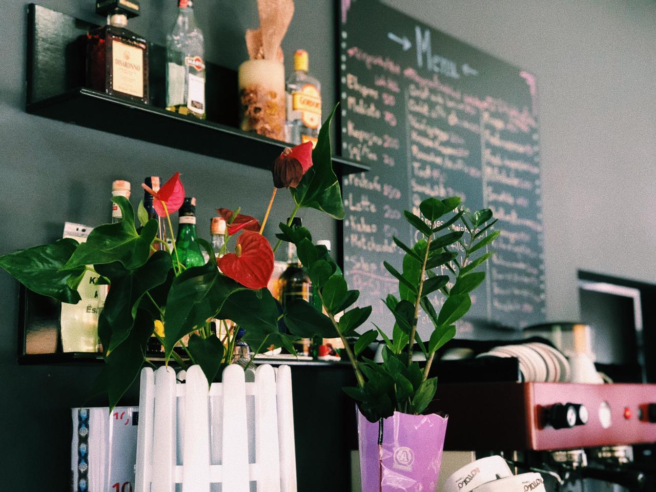 Bar Kafe Enea photo 3