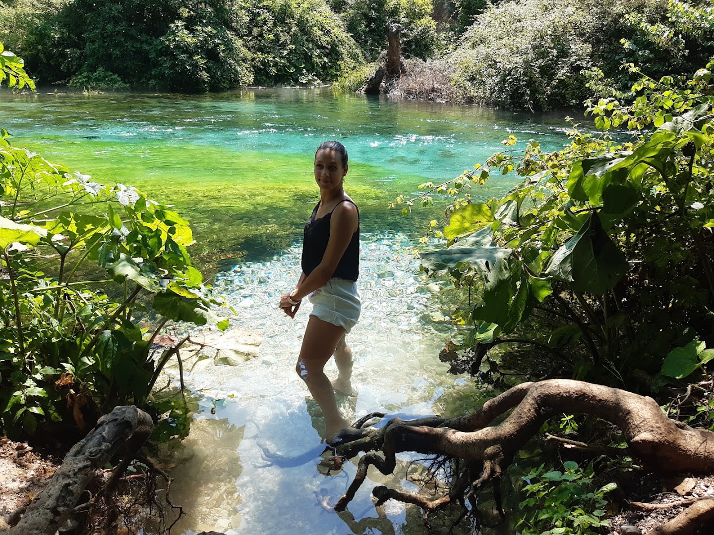 Rei Tours photo 2