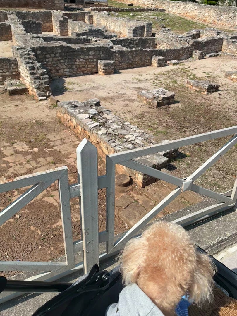 Saranda Synagogue Complex photo 1