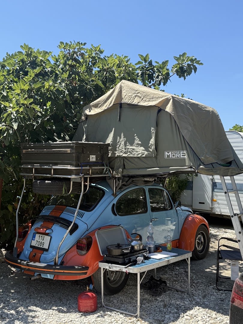 Jungle Camping Borsh photo 4