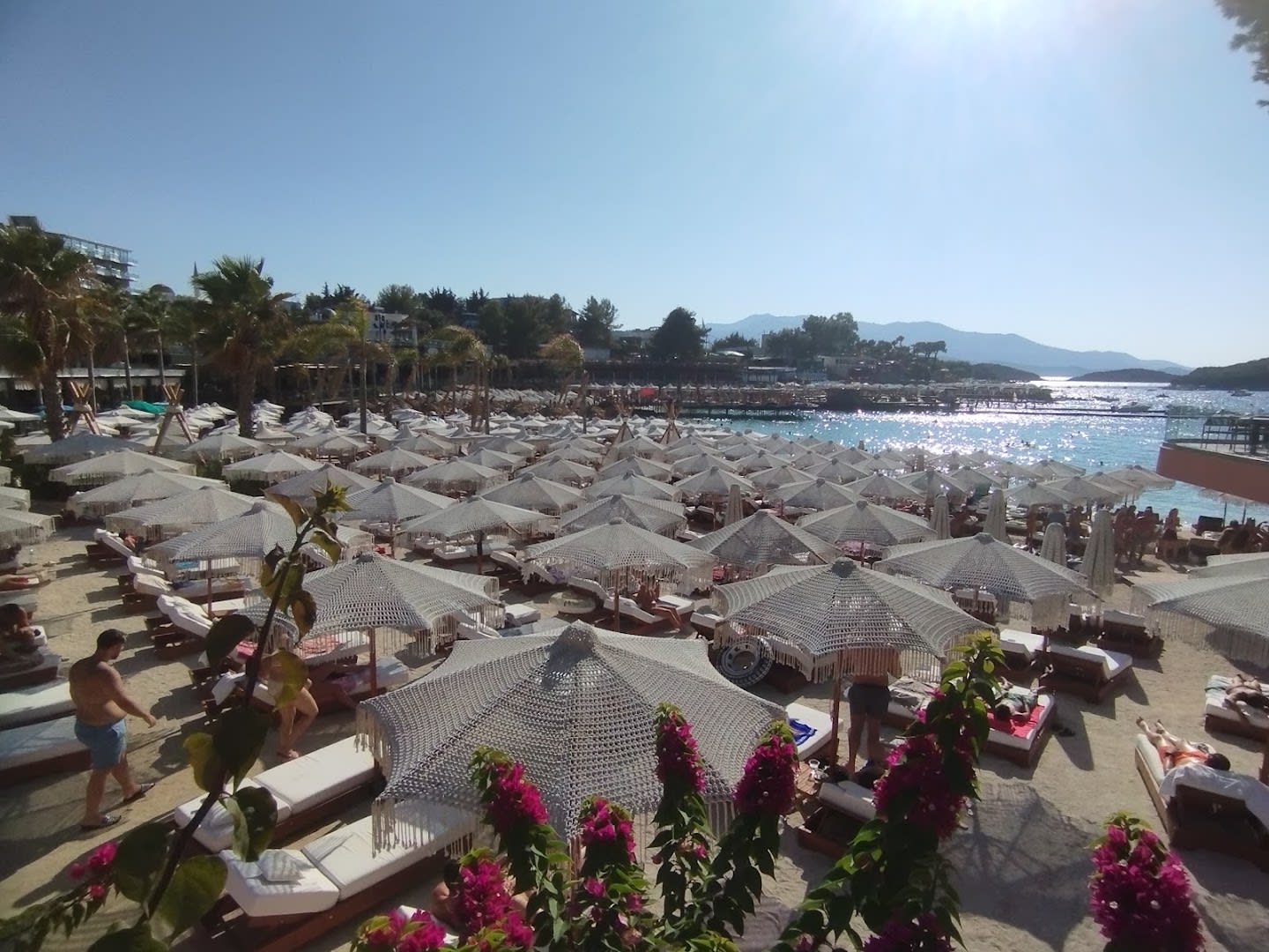 Greg Beach Club photo 2