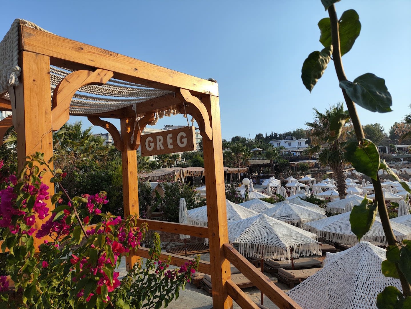 Greg Beach Club photo 4