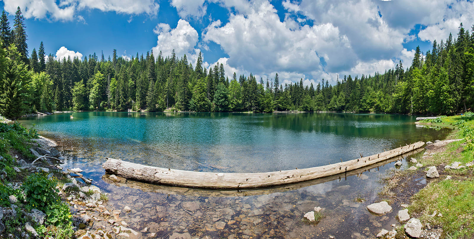 Wild Montenegro photo 2