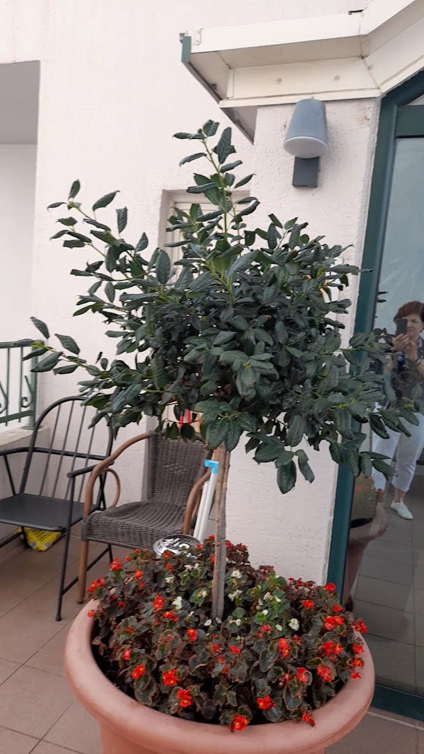 Keto Hotel photo 1