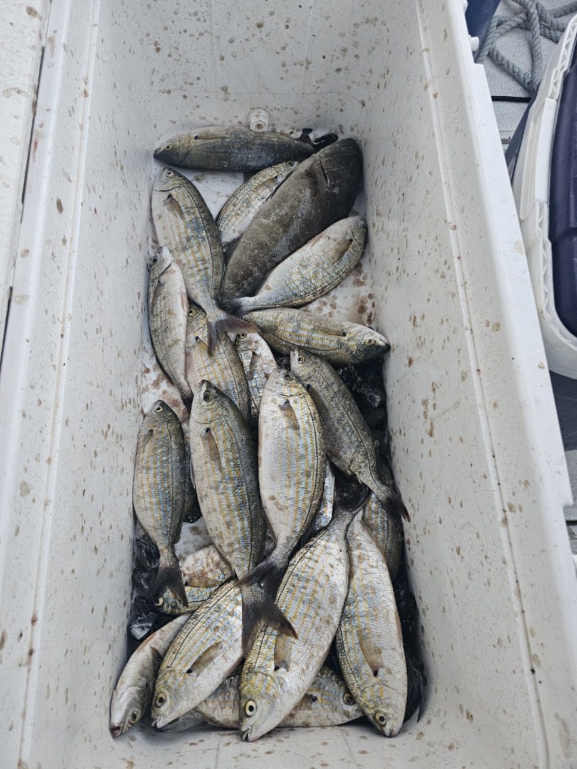Montenegro Boat Tour & Fishing Charter Kotor / Risan photo 4