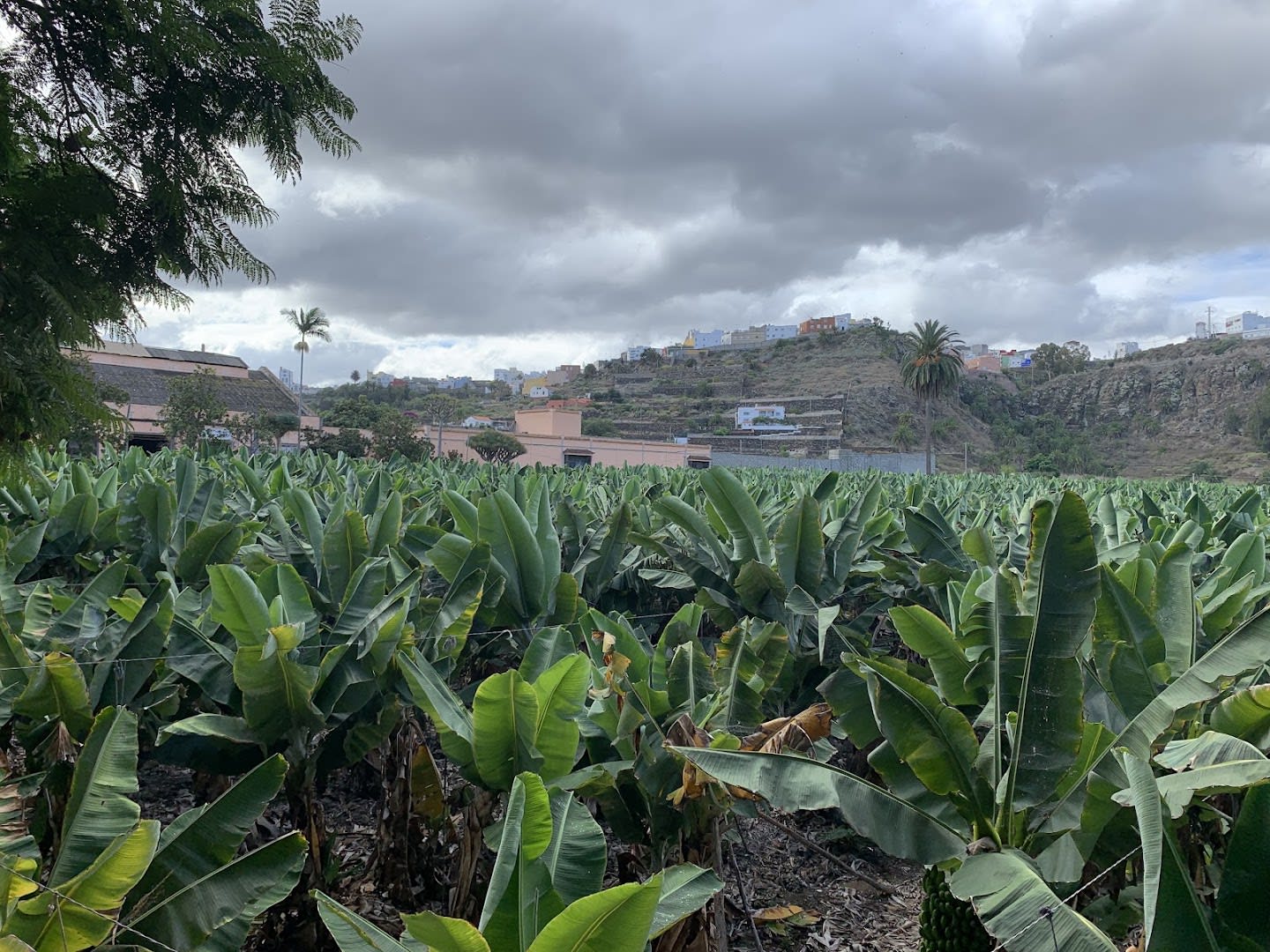 Personal Tour photo 3