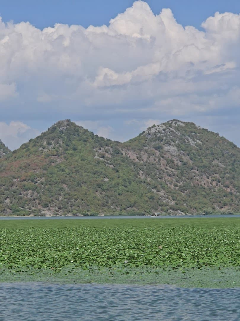 Montenegro Boat Charter photo 2
