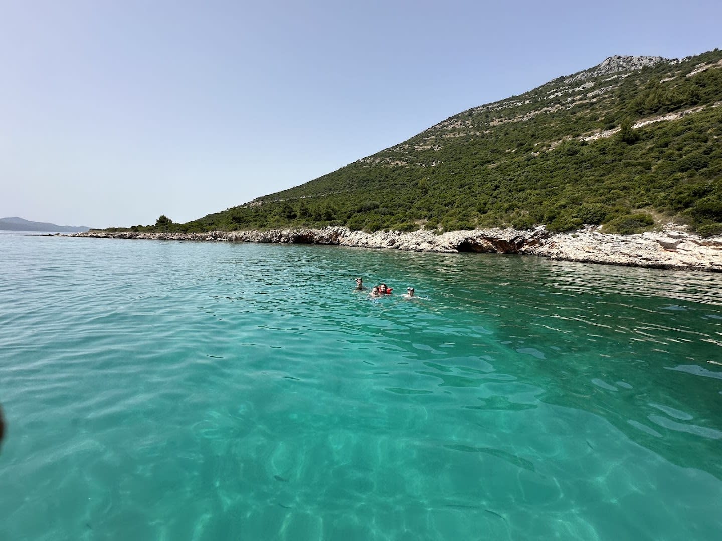 Sealife Speedboat Dubrovnik photo 2
