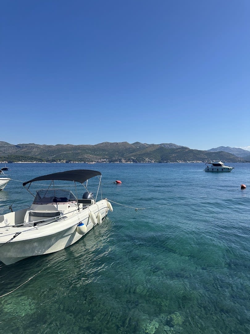 Sealife Speedboat Dubrovnik photo 4