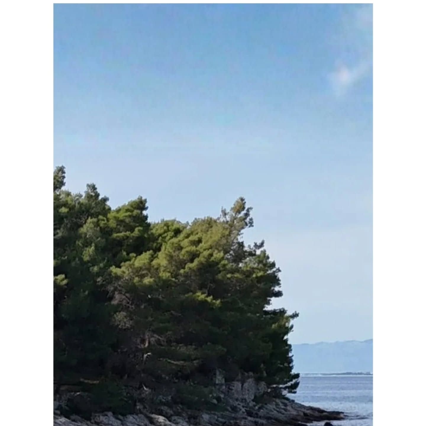 Raptor Boat Tours Zadar photo 2